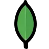MongoDB